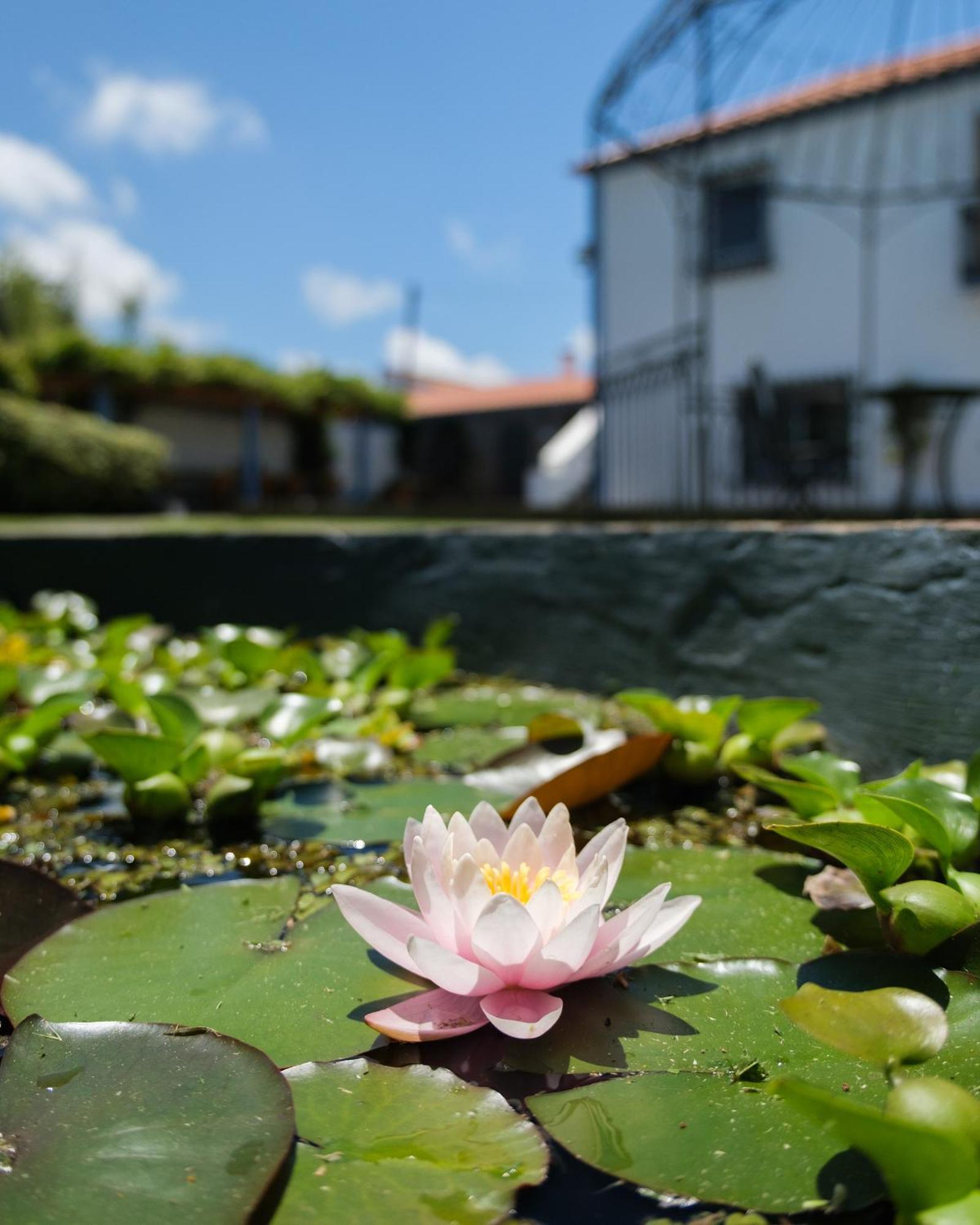 ריביירה גראנדה Quinta Morazes Casas De Campo מראה חיצוני תמונה